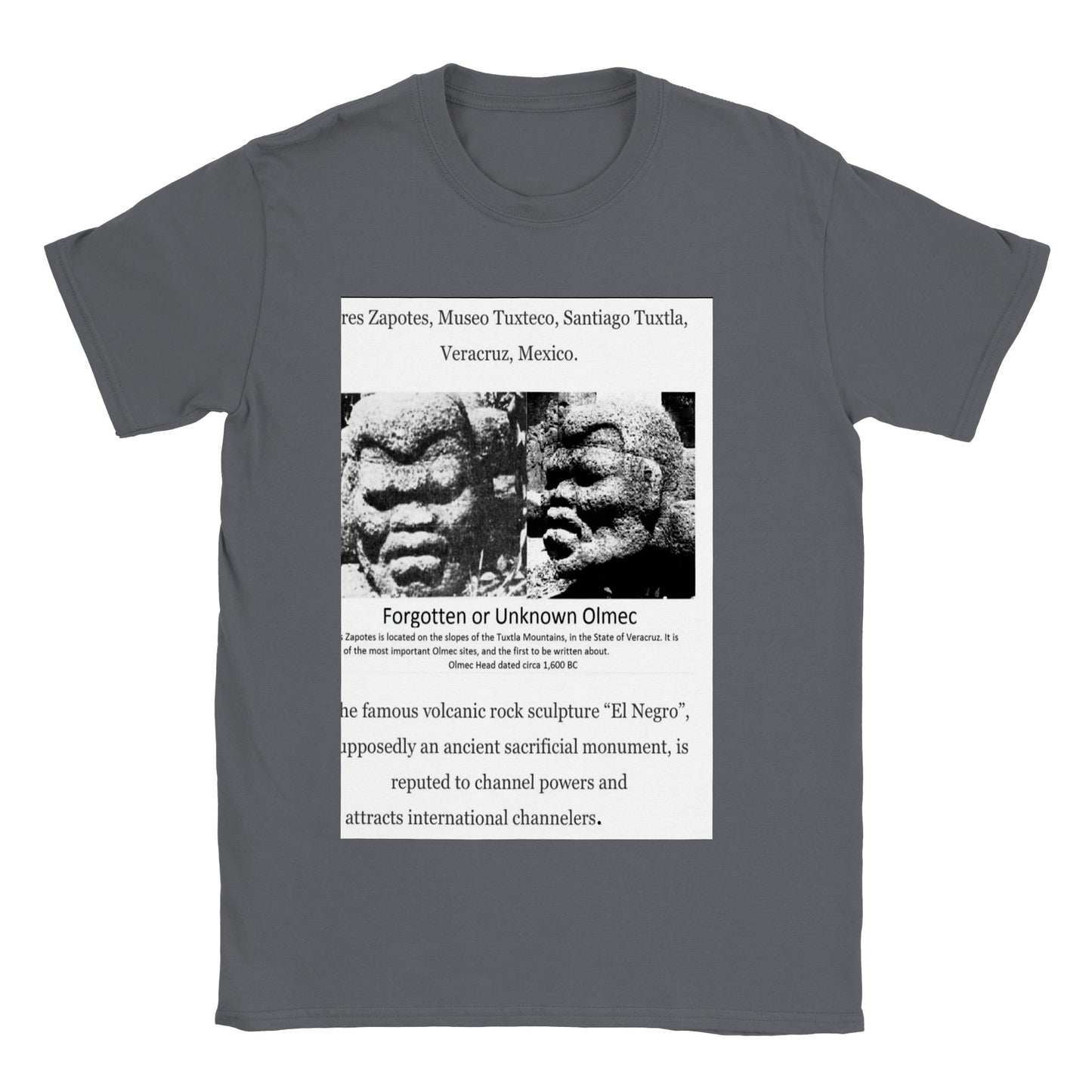 Olmec Stone Head- El Negro
