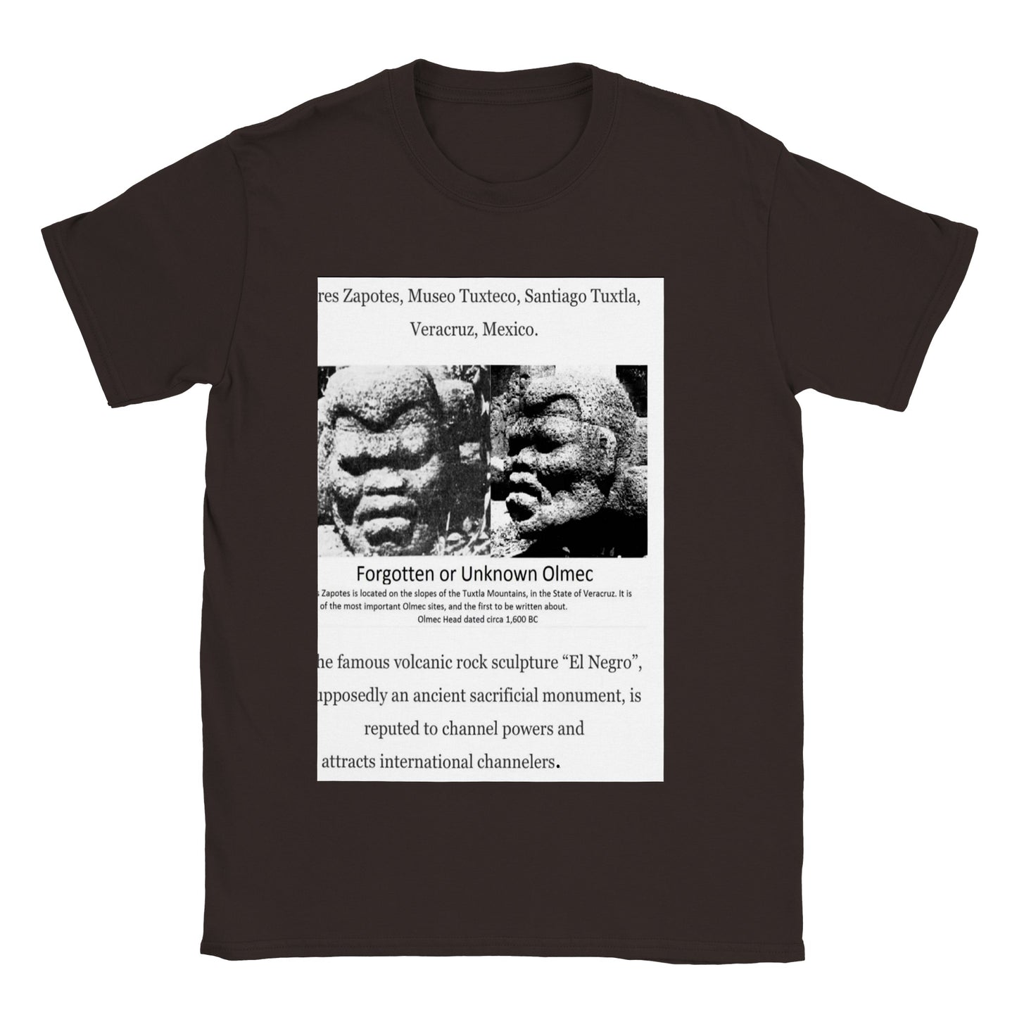 Olmec Stone Head- El Negro