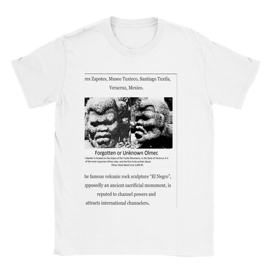Olmec Stone Head- El Negro