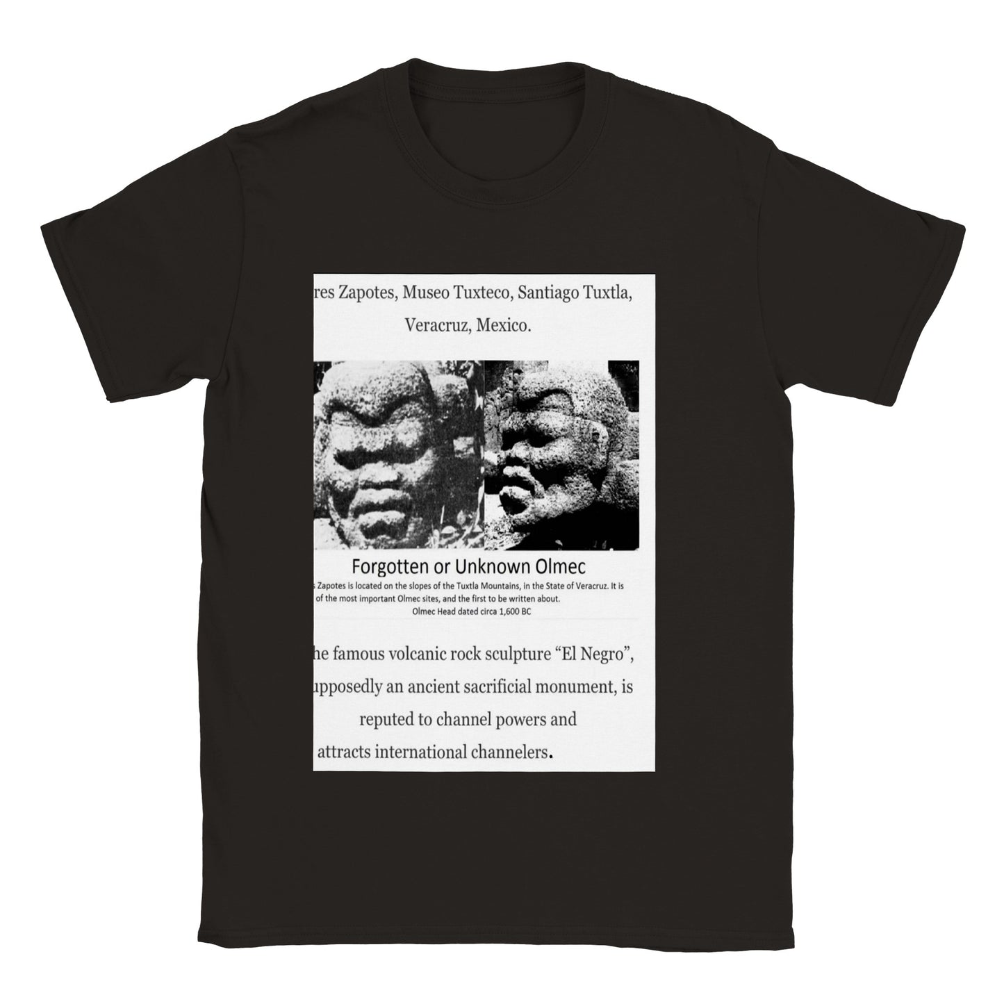 Olmec Stone Head- El Negro